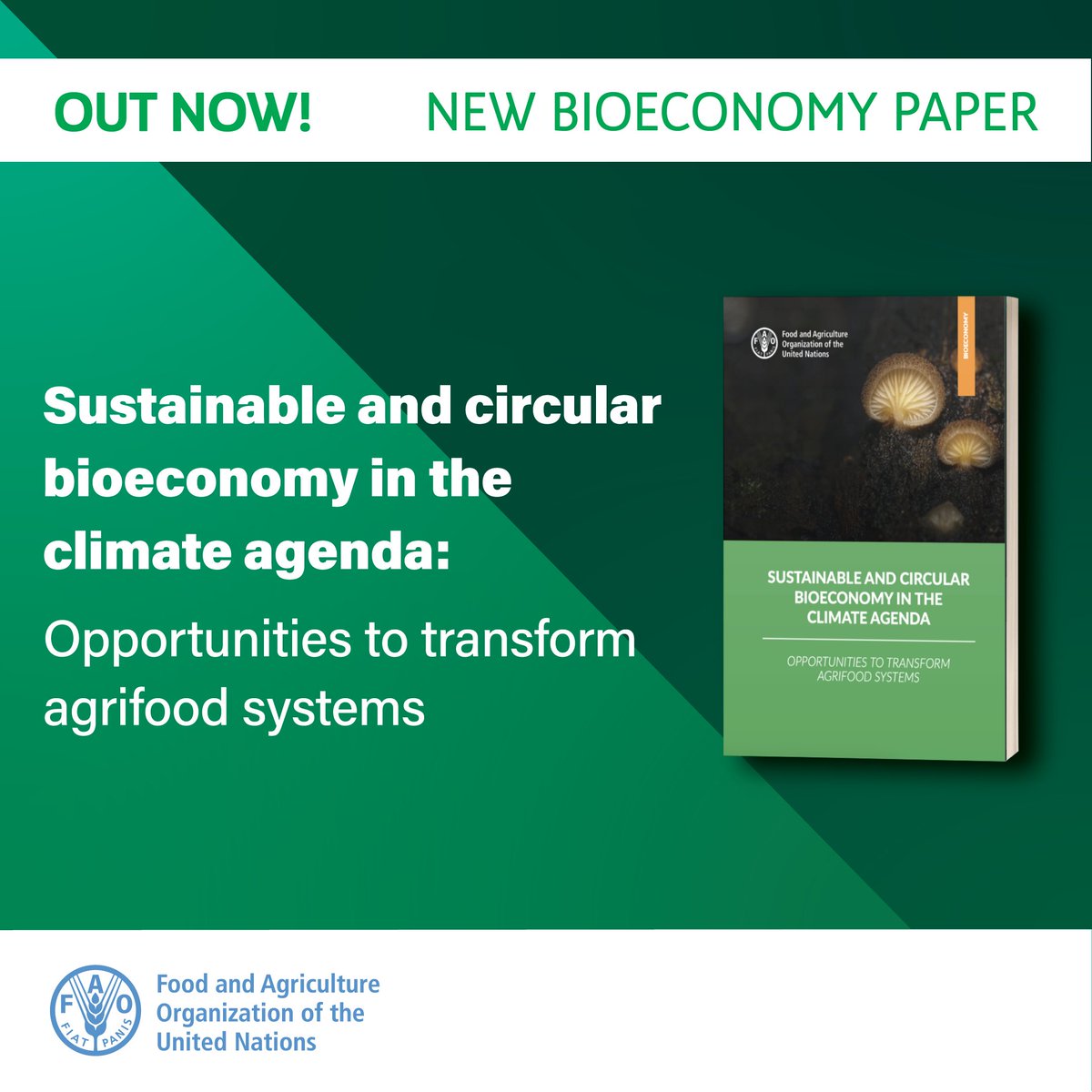 During #COP27, FAO was at the heart of #bioeconomy discussions. We also launched a new publication 📖 on #sustainable and circular bioeconomy in the climate agenda. Check out our recap here 👉 bityl.co/FnDV