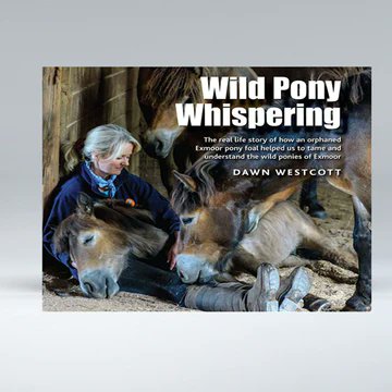ExmoorNPCs's tweet photo. Our @ExmoorNPCs in #Dulverton #Dunster & #Minhead and our online shop have a great selection of #Exmoor books... perfect gifts for #christmas2022.
Further info can be found here: https://t.co/LqoE2iTnvd @ExmoorNP @visitexmoor @VisitDulverton https://t.co/abbtnh6Ynn