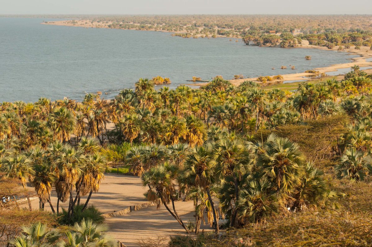 CS_MoALD's tweet photo. Turkana County, is the second largest county in Kenya which boasts the biggest desert lake in the country also the world's largest permanent desert lake - Lake Turkana . However, Turkana is one of Kenya's poorest regions where hundreds of thousands are facing severe starvation. https://t.co/GvZnlxtW5b