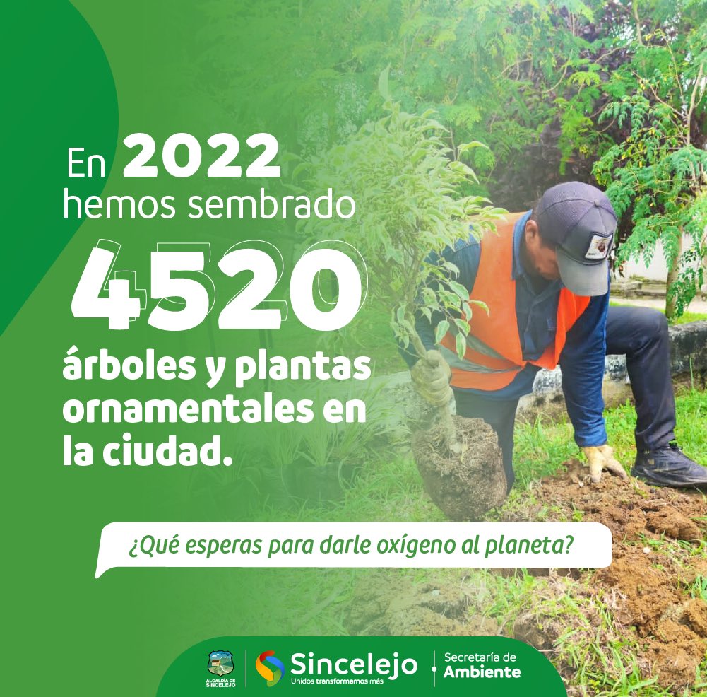 sec_ambiente's tweet photo. Tenemos la responsabilidad de cuidar y proteger al planeta 🌎 .
¡Ayúdanos en esa misión, planta un árbol! 🌳🌱
#TransformamosAmbiente https://t.co/pDN11g2muX