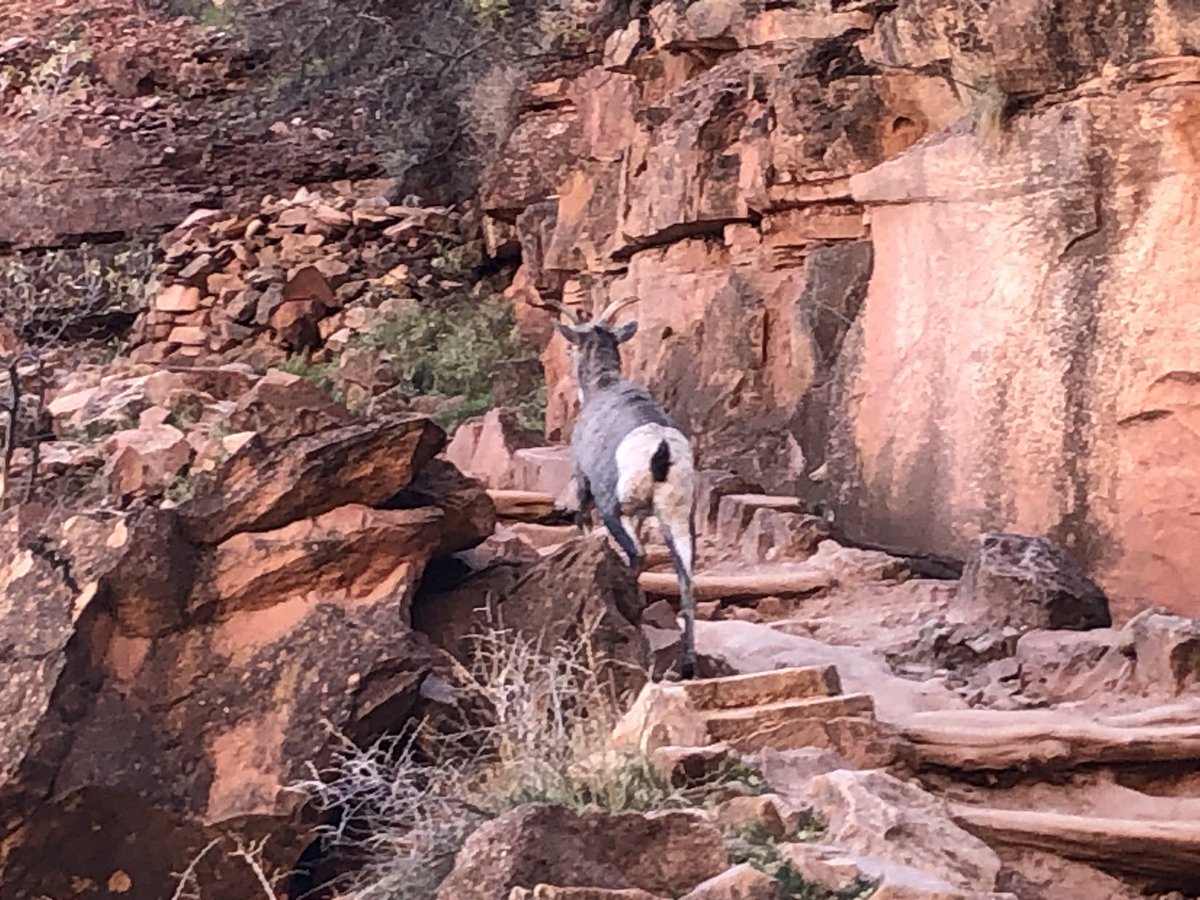 Andy Ostmeyer tweet media