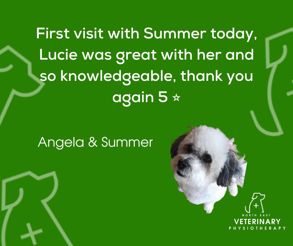 NorthEastVP's tweet photo. 💙 TESTIMONIAL 💚
This lovely fur baby came for a general MSK health check and was a dream to work with. Her human behaved reasonable well too 🤣 #testimonial 
#northeastvetphysio #vetphysio #veterinaryphysiotherapy #animalphysiotherapy #caninephysiotherapist https://t.co/MfzfiZOnoV