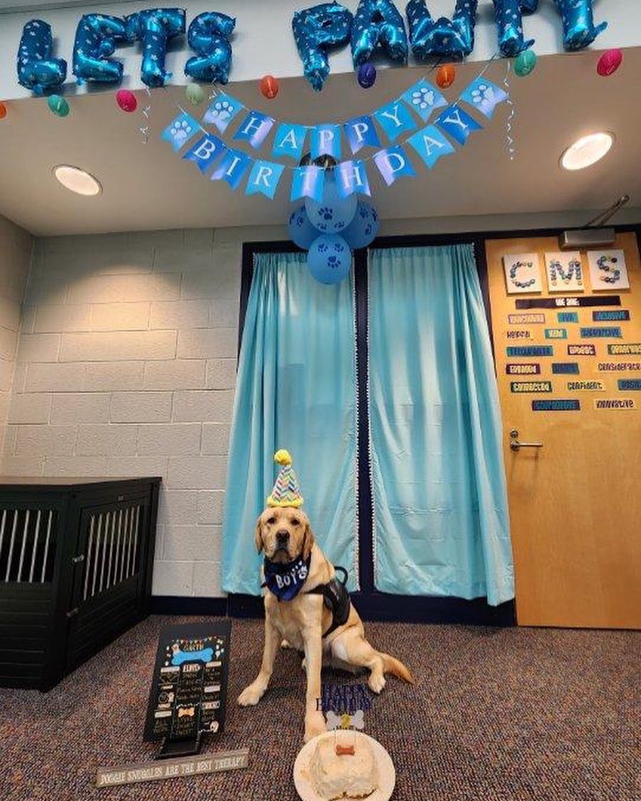 SLCSdogs's tweet photo. Happy 2nd Birthday to Garth! #pawtay https://t.co/8ivuWCXr5n