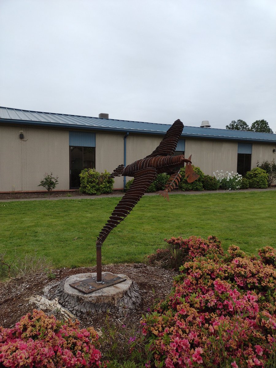 StaytonHS Pathways tweet media