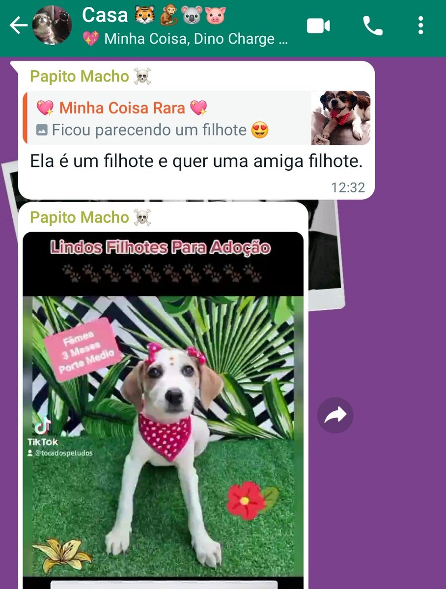 Rosees tweet media