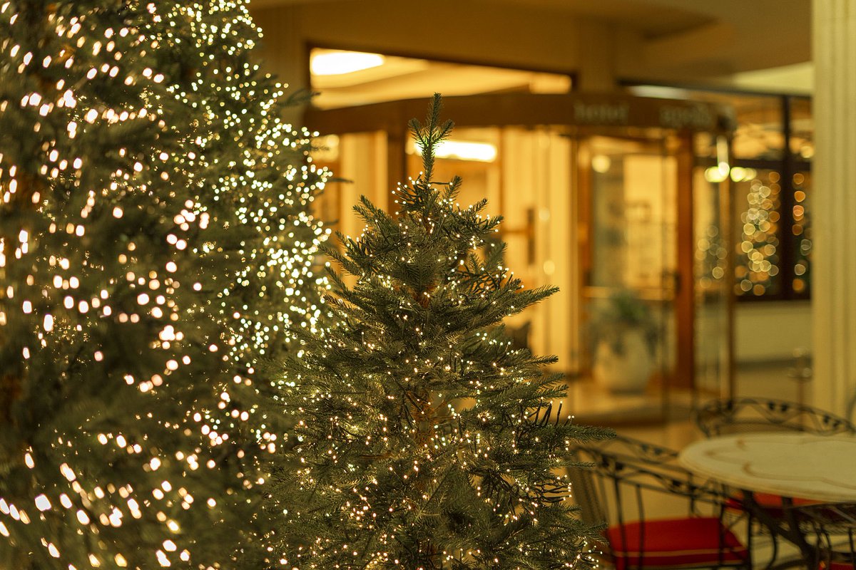 TermeApollo's tweet photo. Oh oh oh.. does it remind you anything? #christmasiscoming #bookyourholiday https://t.co/ttmBQFRSfR