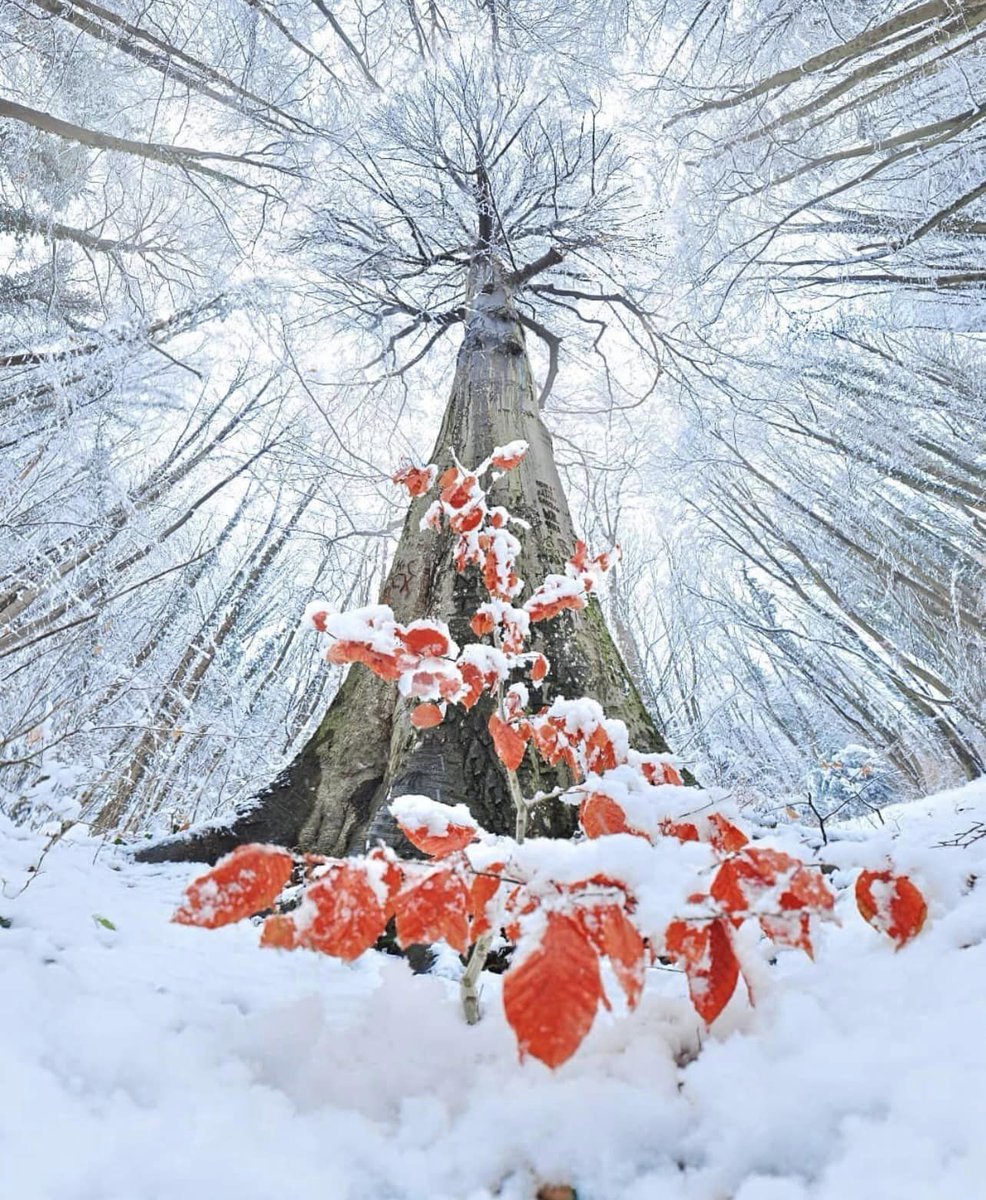 #nature