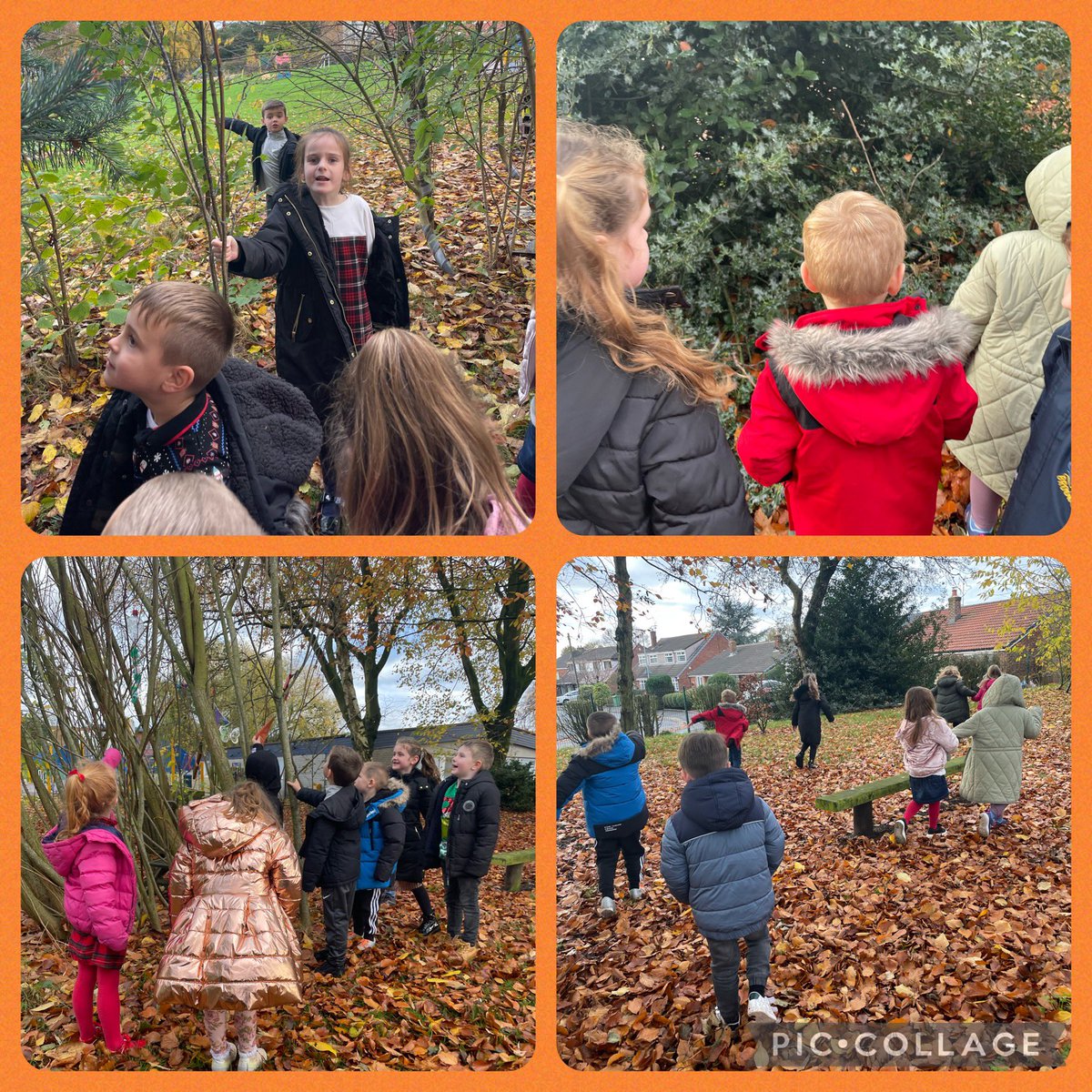 This afternoon we have enjoyed identifying deciduous and evergreen trees 🌳🌲