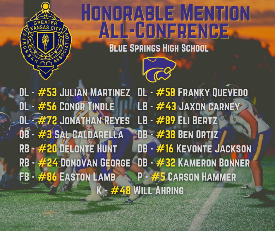 JJPaul53's tweet photo. Congrats to all the Wildcats named HM-All Suburban Gold. @bshsfootball https://t.co/4DhtXR2iOU