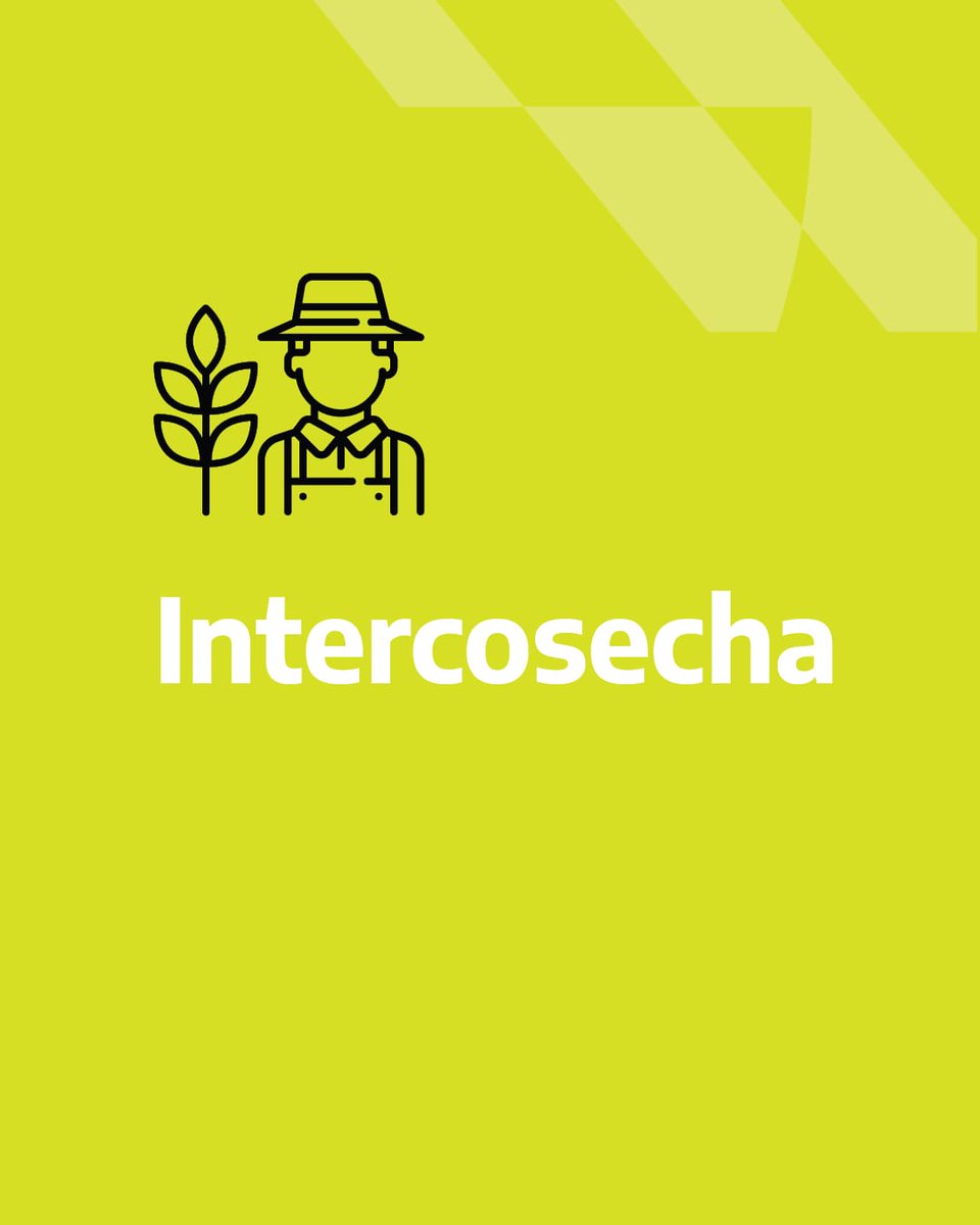 SecTrabajoAR's tweet photo. Brindamos asistencia a 6415 trabajadoras y trabajadores de la yerba mate de #Misiones y #Corrientes a través del programa #Intercosecha 🌱
👉 El mismo les otorga una ayuda económica durante el receso estacional y la posibilidad de realizar cursos y capacitaciones. https://t.co/5x0bNhQ0Uf