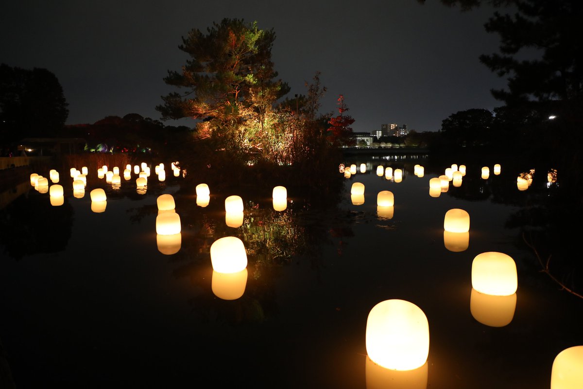 長居公園チームラボ

#写真好きな人と繋がりたい 
#キリトリセカイ
#ファインダー越しの私の世界 
#カメラ好きと繋がりたい