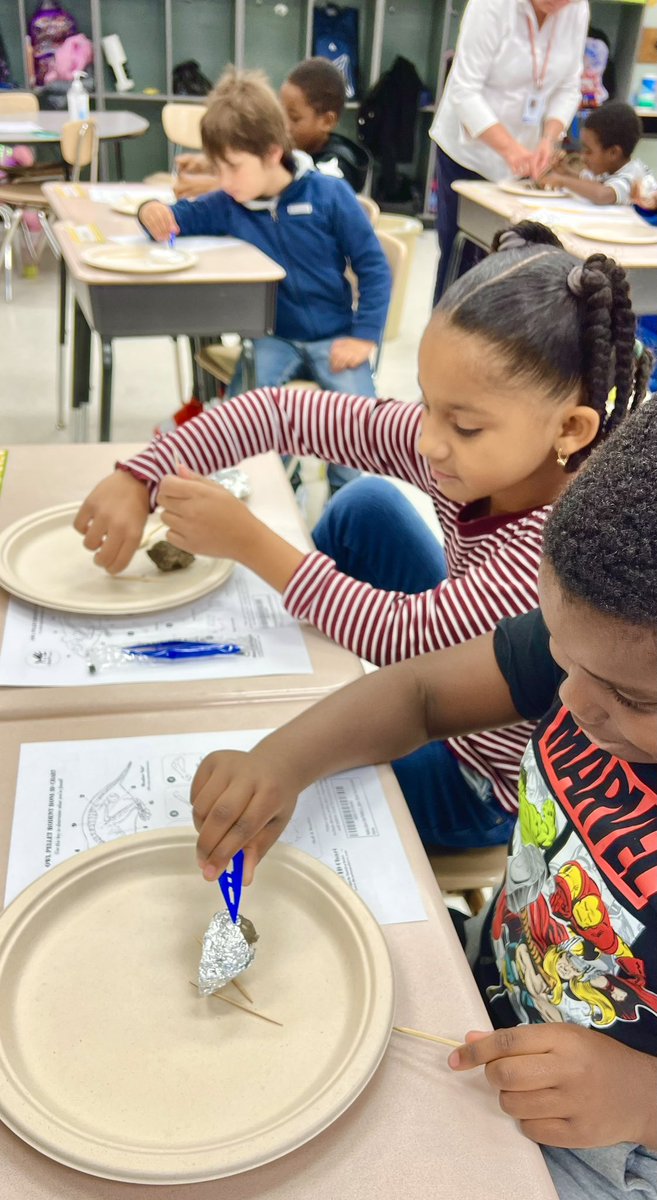 NWETigers's tweet photo. Our @NWETigers student engineers have enjoyed STEM Days! This week, K tested self-made boats, 2nd designed parade “floats”, 3rd dissected owl pellets, and 4th and 5th measured how far their freshly constructed K’Nex vehicles would roll compared to prototypes! @PCS_STEM https://t.co/jzrmRLTgPV