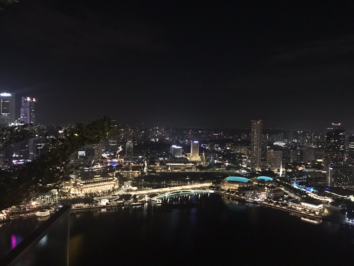 Tony_TP_Wang's tweet photo. Great night in Singapore 🇸🇬 with the @10xGenomics team and speakers from the APAC Spatial Biology Symposium. Amazing talks advancing my understanding on the state-of-art spatial technologies followed by the amazing view from the top of marina bay sands! https://t.co/b8aIuBMBR2