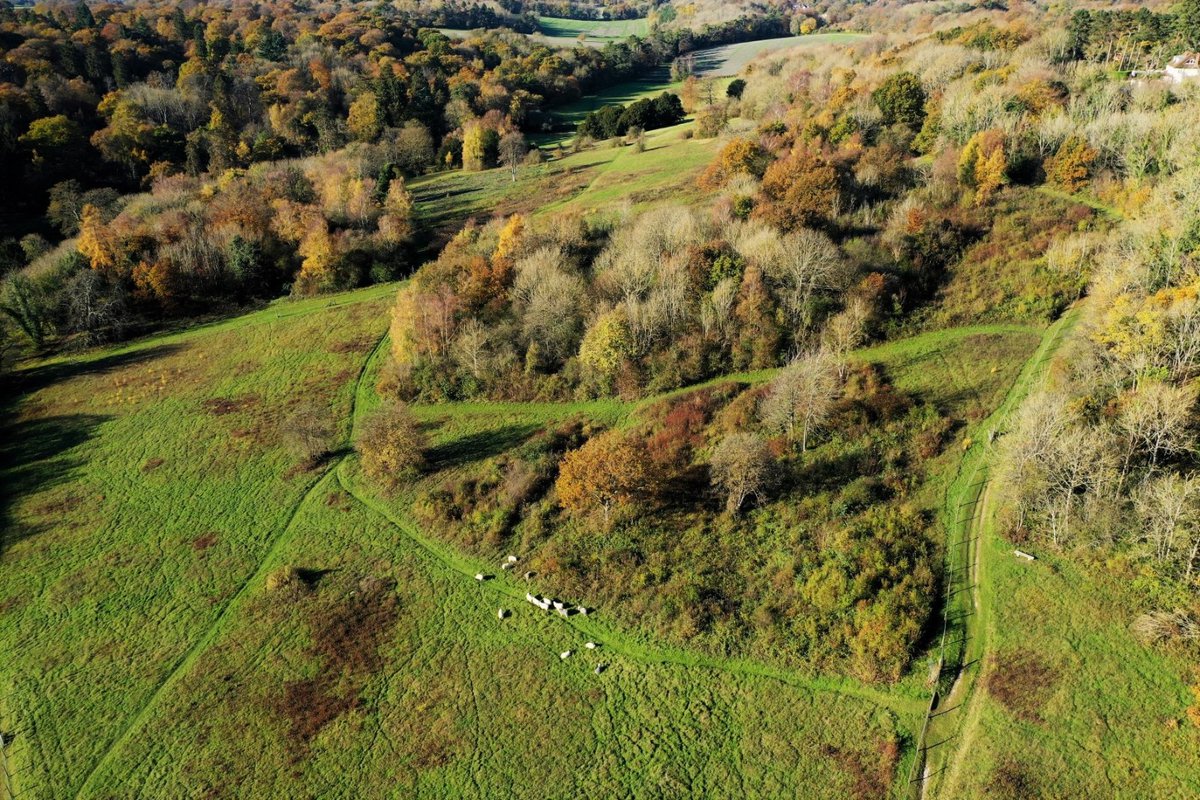 BCConservators's tweet photo. #ParkDowns is a stunning site to visit at all times of the year.
Throw on your walking boots and say hello to our special friends - they really will bring a smile to your face when you see them!
Thanks to the @Downygrazers & our stock checkers for caring for the flock ๐ https://t.co/GNWUnd8WNq