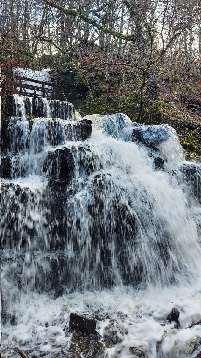 ZooStephen's tweet photo. The leaves have fallen ๐๐
The rain has fallen ๐ง๐ง๐ง
The waterfalls ๐๐ด๓ ง๓ ข๓ ณ๓ ฃ๓ ด๓ ฟ
Lovely walk at #BirksofAberfeldy @PKCTrust @PerthandKinross @VisitScotland @VisitAberfeldy https://t.co/8Sv1HX8zDG