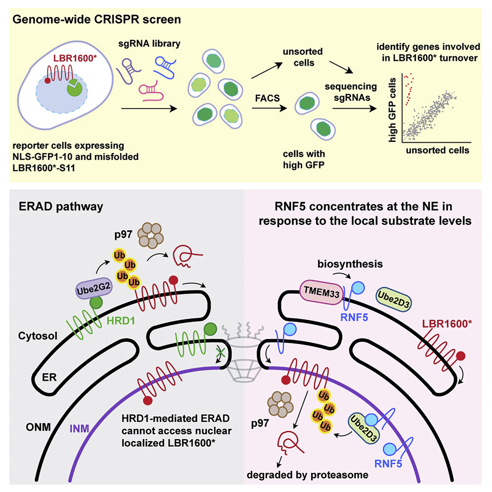 Christian Schlieker tweet media