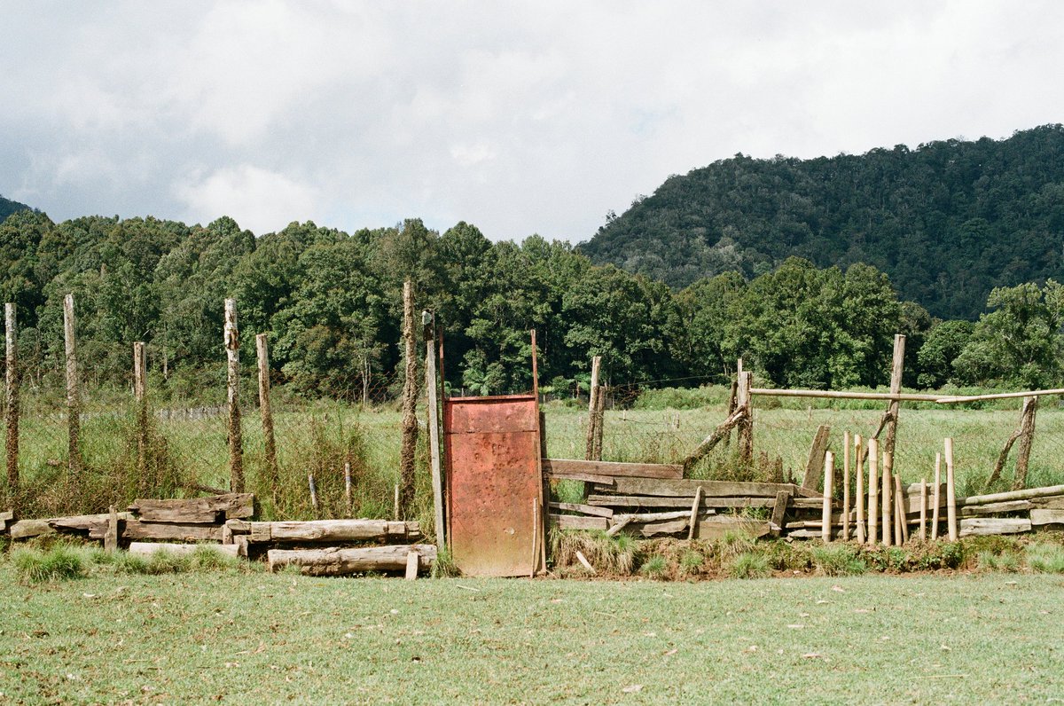 diezfleury's tweet image. The Film         vs          The Photos