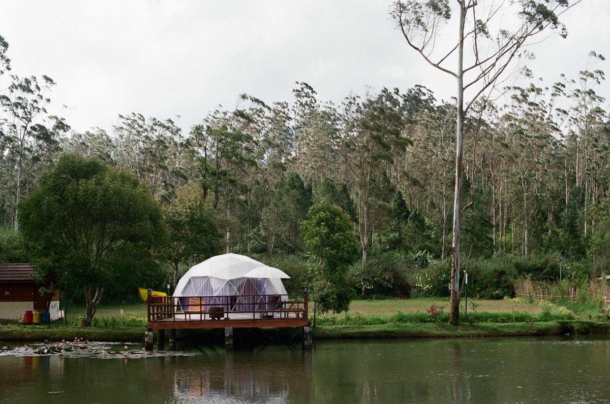 diezfleury's tweet image. The Film         vs          The Photos