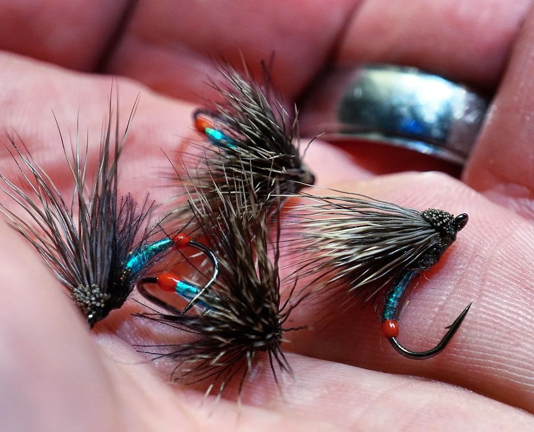 MidCurrent's tweet photo. "Favorites right now - S.C variant" // tie and image by Johan Lundberg @mojosumo
.
.
.
.
#whitingfarms #nightmoth #streakingcaddis #caddisfly #egglayingcaddis #dryflies #dryfly #dryflyfishing #troutonthefly #troutbum #troutcandy #ahrexhooks #ahrex #alltomflugfiske https://t.co/cEyo4JR3Ix