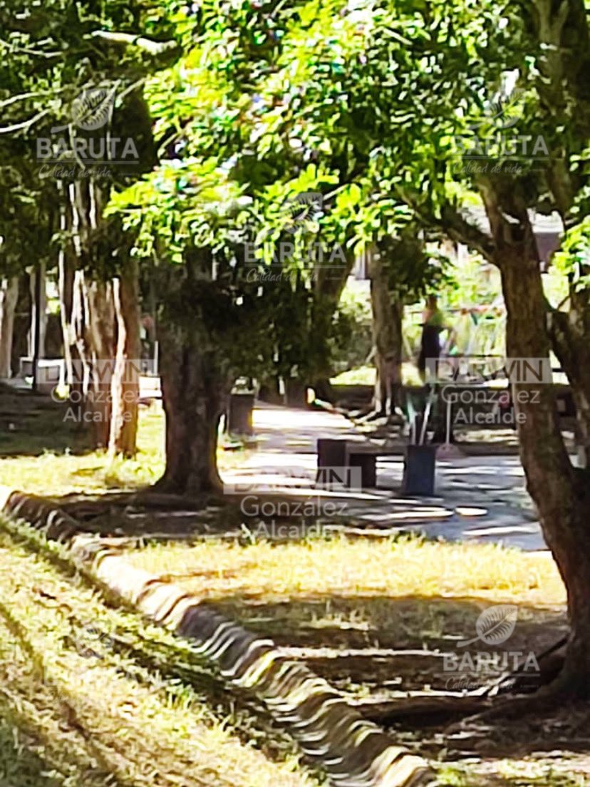 Darwin González tweet media