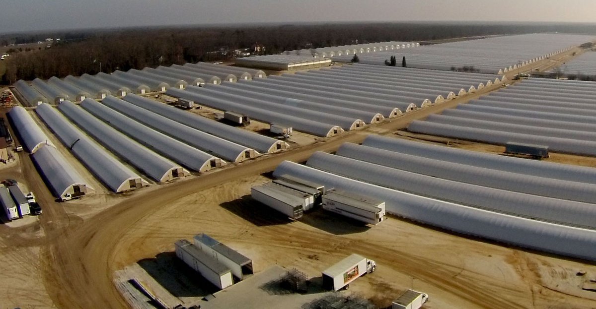 🌟 Supplier Spotlight 🌟

Meet some of LandscapeHub's awesome suppliers 👇

Fitzgerald Nursery 
📍 Morganton, NC

Hunter Trees
📍 Birmingham, AL

Centerton Nursery 
📍Leola, PA

Shop now 
🛒 landscapehub.com/search?page=1