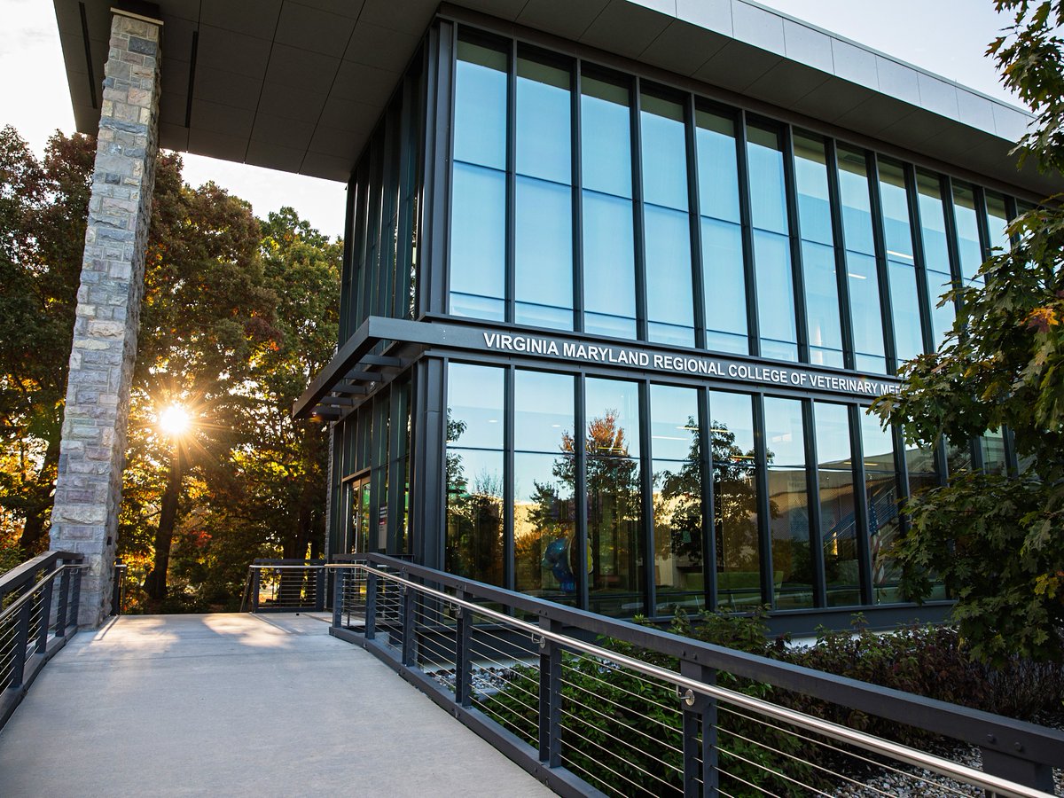 Tweet by Virginia-Maryland College of Veterinary Medicine