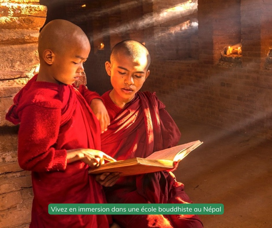 Vous hésitez encore sur la #destination de vos prochaines #vacances d'hiver ? 😯
Voici nos prochains départs sur cette période ! 🤗 

Découvrez-les ici : bit.ly/3GuQctO 

Entre mer, montagne, froid ou encore chaleur, il y en a pour tous les goûts 😉