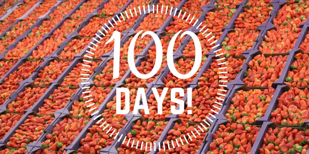 Fla Strawberry Fest tweet media