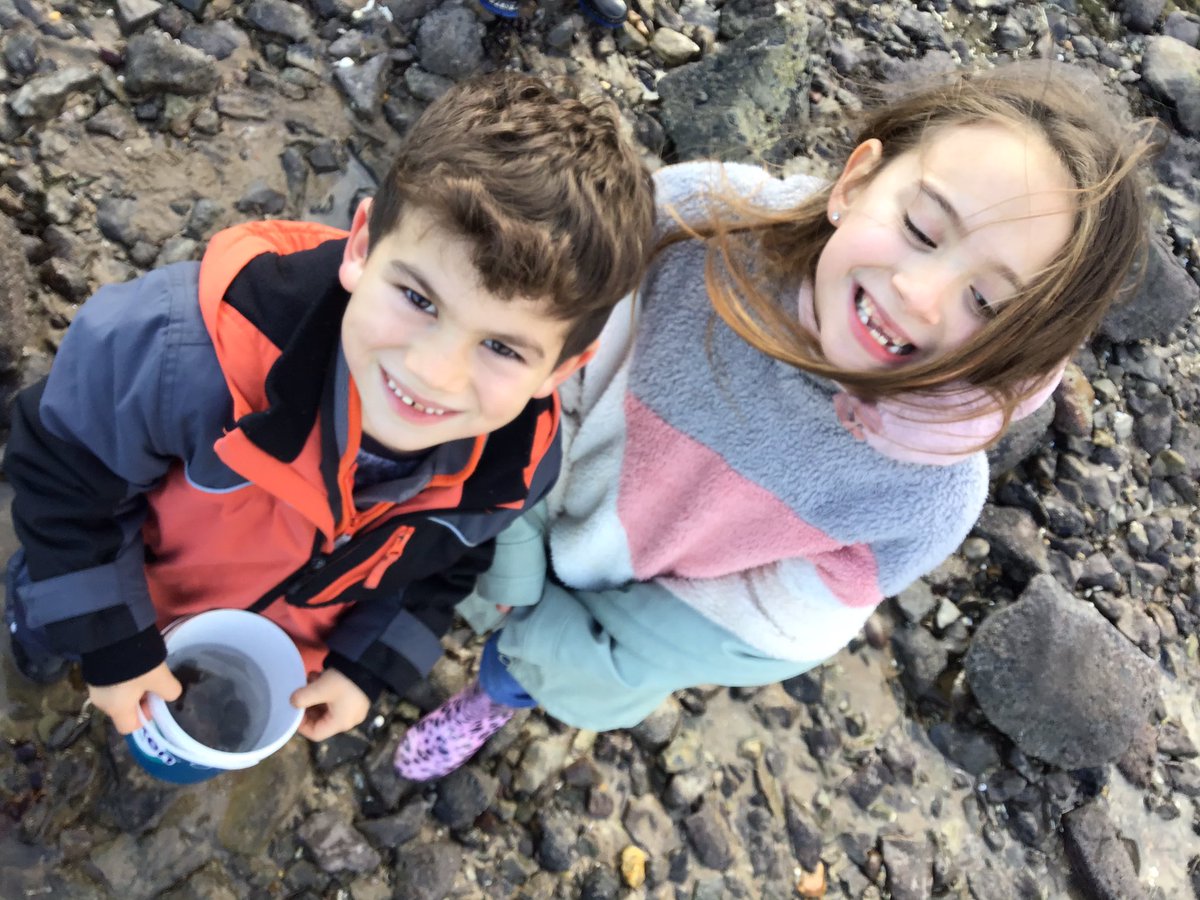 BGrovePrimary's tweet photo. What an amazing day of scavenging and rock pool dipping at Oxwich Bay it has been. The sea air has knocked us all out but a great time has been had.#Bgp2 https://t.co/tUcIn2hJrr