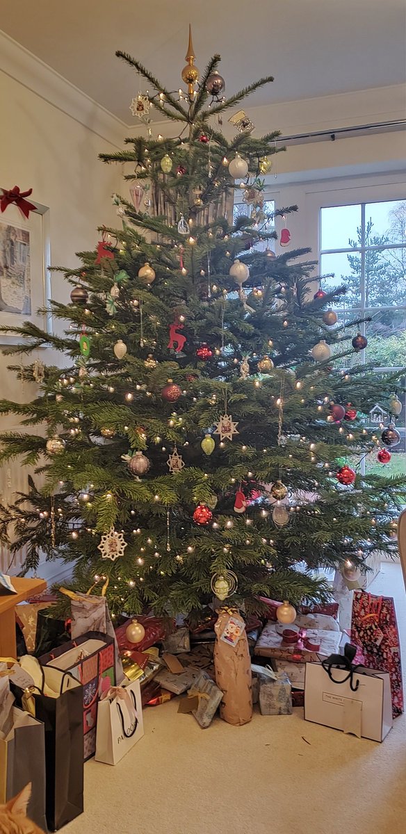 We would like to recommend our friend and client Ollie's Christmas 🎄 Trees Fleet who is resident at The Tweseldown for your tree this year.