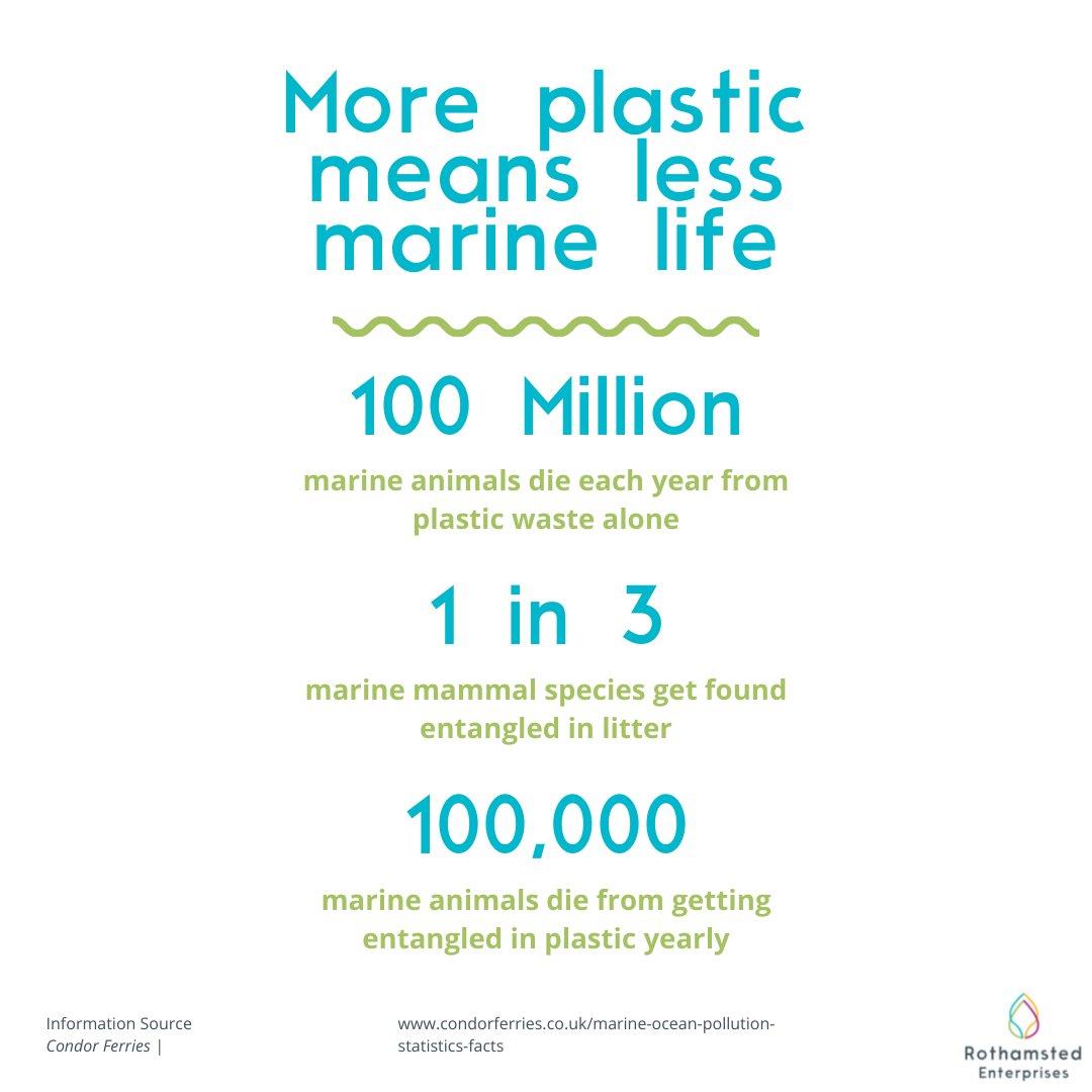 RothamstedCRE's tweet photo. Today is Oceans of Plastic day, an initiative to highlight ocean plastic pollution.

Look at the graphics below for more information and tips on how you can reduce your plastic usage👇

#OceansofPlastic #plasticrecycling #plasticpollution #research #plasticwaste #recycling https://t.co/lVPe9hXN6L