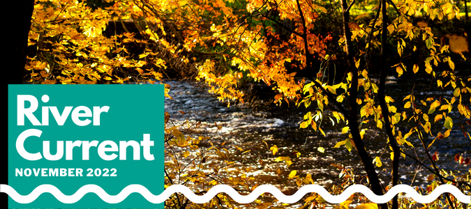 charlesriver's tweet photo. The November #RiverCurrent is here!
Public Lands Preservation Act Passes, Dam Removal in Natick, and more.
Read more > https://t.co/L5kTDcM9mk https://t.co/dLcScCGPS3