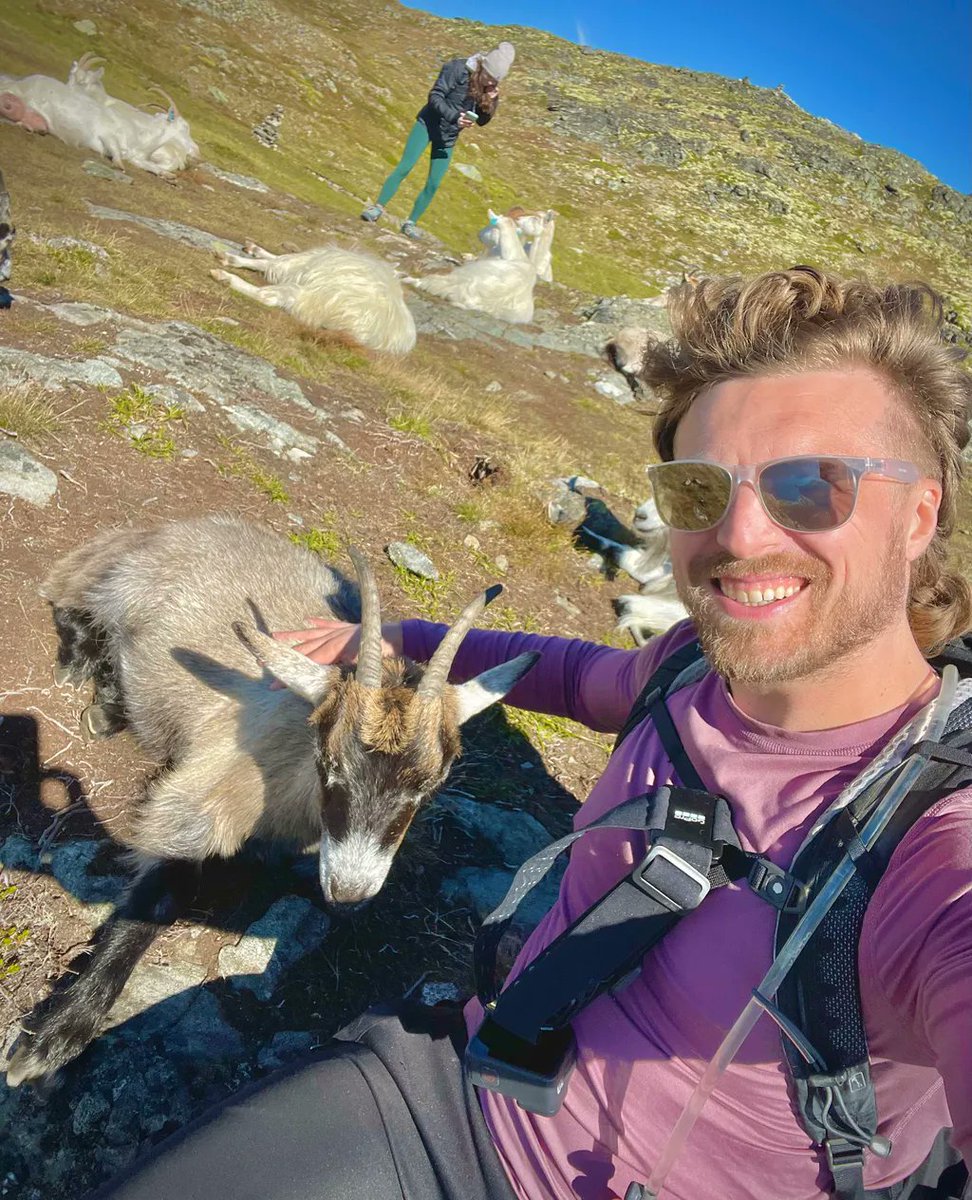 JohnOberg's tweet photo. The best part about this fjord hike in Norway was that at the top, I got to meet this sweet goat! He loved head and neck scratches. 😍

My favorite thing in life is celebrating animals. That's a reason I just started a newsletter. Subscribe! https://t.co/FPKe8kBZdK https://t.co/gFXyKOPkPk