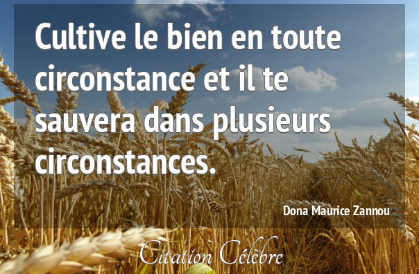 zannou_maurice's tweet image. Cultive le bien en toute circonstance et il te sauvera dans plusieurs circonstances.
@zannou_maurice 
#cultive #bien #circonstance #sauver #plusieurs