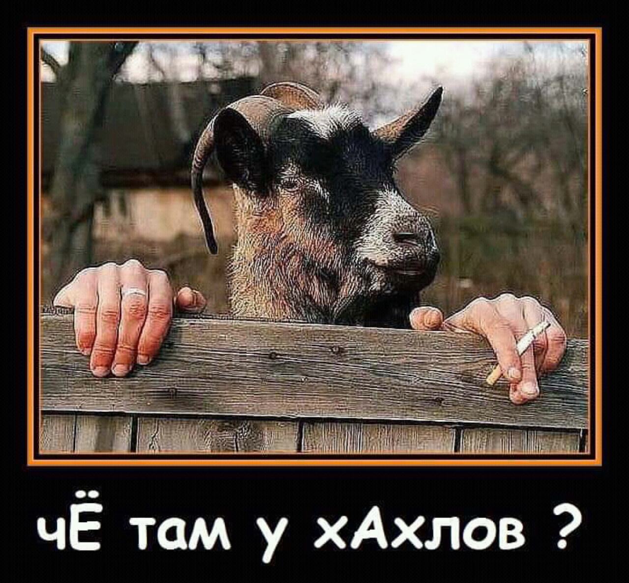 Демотиваторы про мужчин смешные