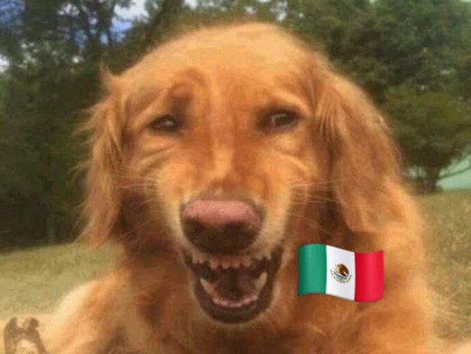 M&eacute;xico sabiendo que Argentina se va a desquitar en el siguiente partido https://t.co/VSLJ8qZkJa