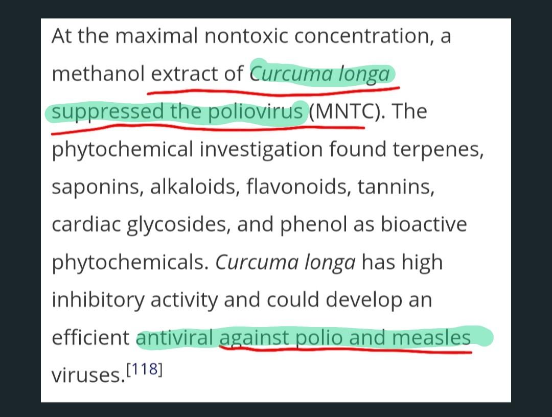 NaturallyFTW's tweet photo. "But what if no one vaxxed?!" I don't claim to know all. But there are reasons to believe that Polio &amp; others were tamed in other parts of the world w/o vax. Also...there are ways to naturally control viruses. Sorry not sorry, Pfizer 😉 https://t.co/6XWUqNeDmk