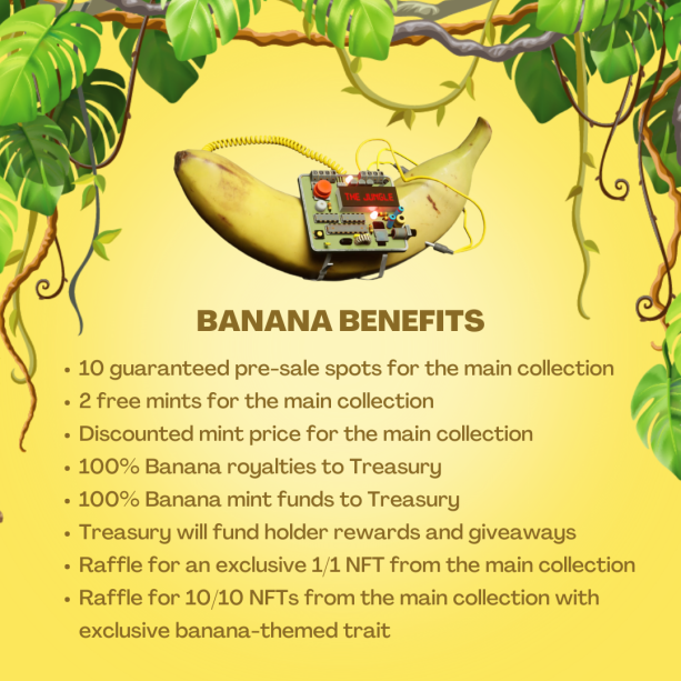 THEJUNGLEcnft's tweet photo. 🍌 BANANA APPLICATIONS 🍌

The next round of BANANA applications is now open!

You can submit your application here:
https://t.co/1pMCSWn2ts

Retweet + tag 2 friends to win a Banana 🏆 https://t.co/MdIGi5oO0Q