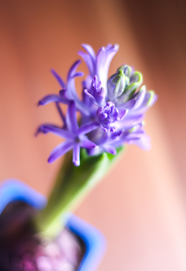 The Power Path tweet media