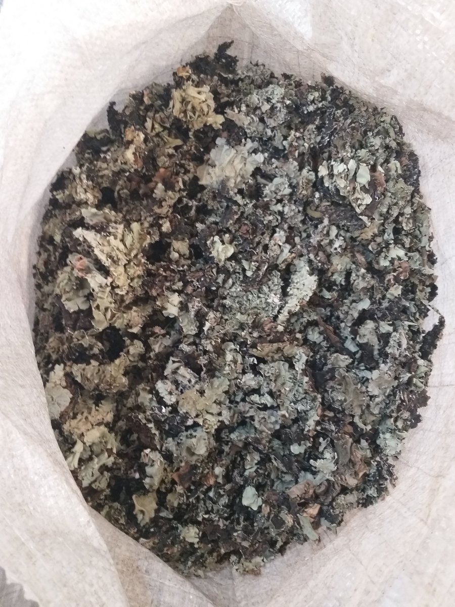 Icheelagro1's tweet photo. Black stone flower!

Whatsapp/mob: +2348023545583,
Email: info@icheelagroallied.com.ng,
website https://t.co/mMd1MGMCUE

#Blackstoneflower
#stoneflower
#herbs
#spices
#indianspices 
#india 
#uae https://t.co/rYBkbZ3fH4