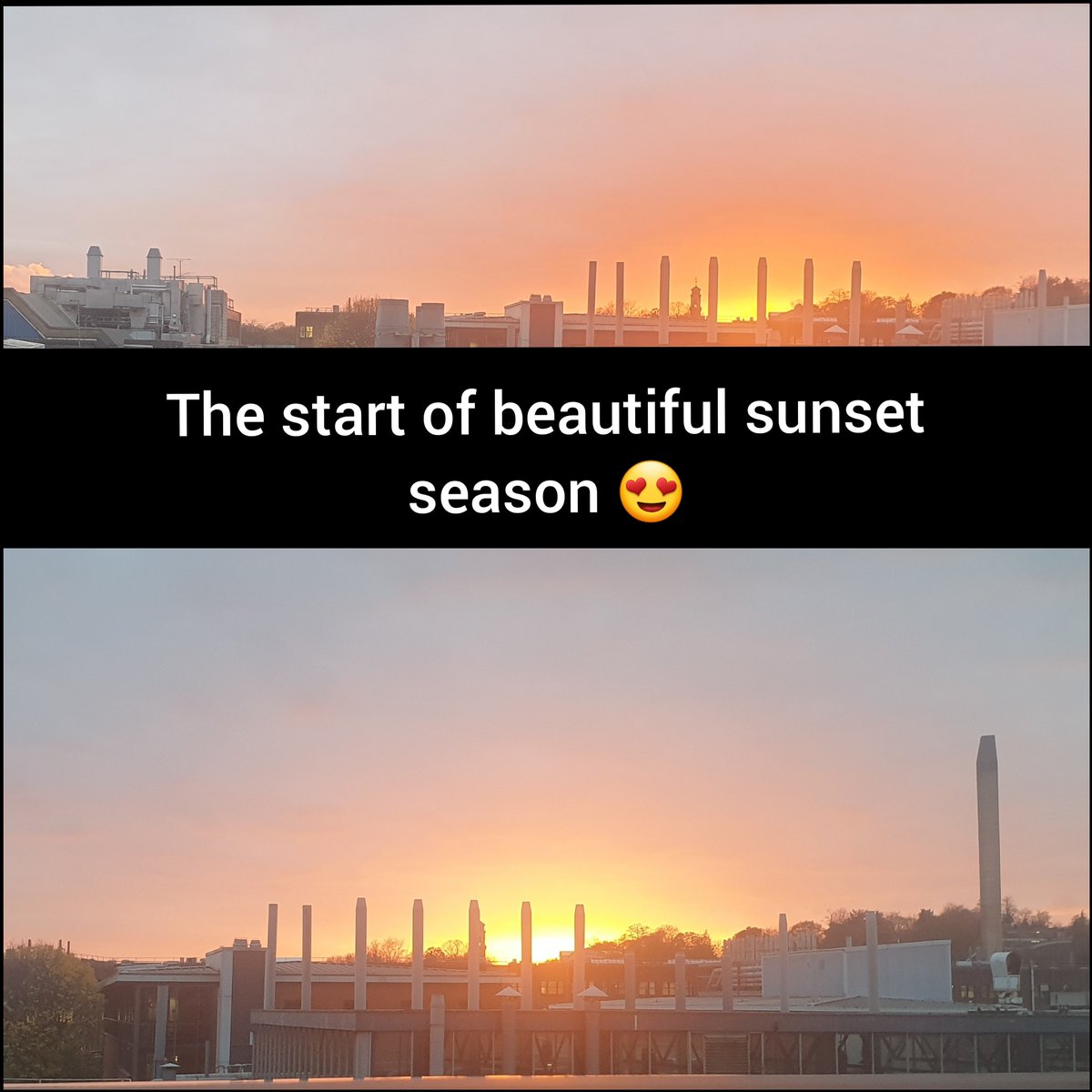 Norro1983's tweet photo. #wearebdi #biodiscoveryinstitute #sunset https://t.co/103azs3PWx