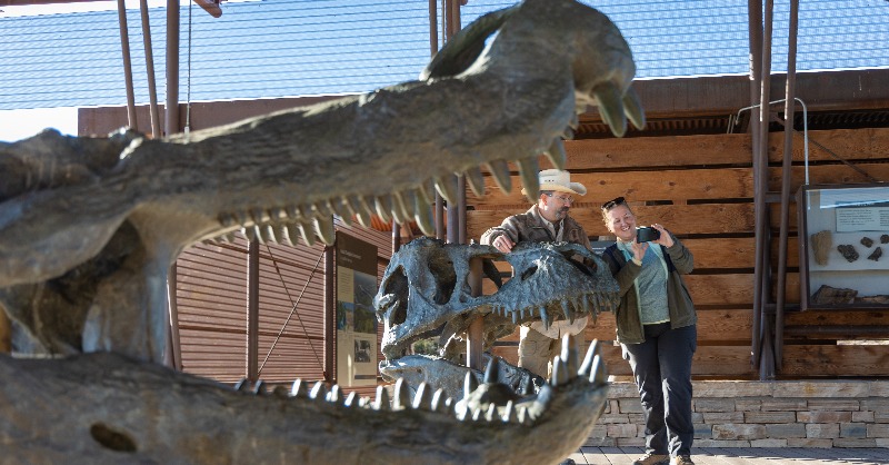 PerotMuseum's tweet photo. What does it take to find fossils in the wild?

Follow along with Perot Museum paleontologists @Paleo_Tykoski and @DLContreras as they set out for Big Bend National Park in hopes of scientific discovery.

Full video below!