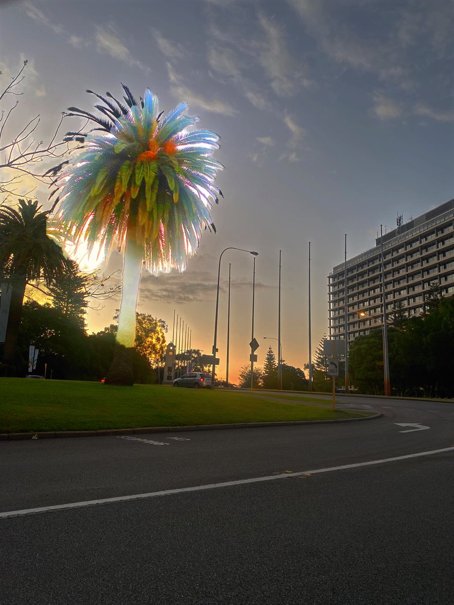 SUN Network tweet media