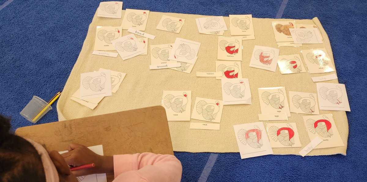 #PublicMontessori #workinghardbeforebreak🦃
<a href="/RacineUnified/">Racine Unified</a>