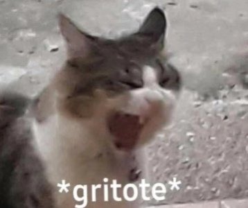 *se acercan a la portería de México*
yo:

#SeleccionMexicana