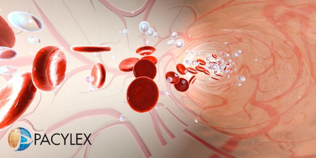 pacylex's tweet photo. Pacylex Granted FDA Fast Track Designation for PCLX-001 for the Treatment of Relapsed or Refractory Acute Myeloid Leukemia
https://t.co/qvhYWBs0wA
#PCLX-001 #AML #AcuteMyeloidLeukemia #bloodcancer #FastTrack https://t.co/qbTNEt9Vnt
