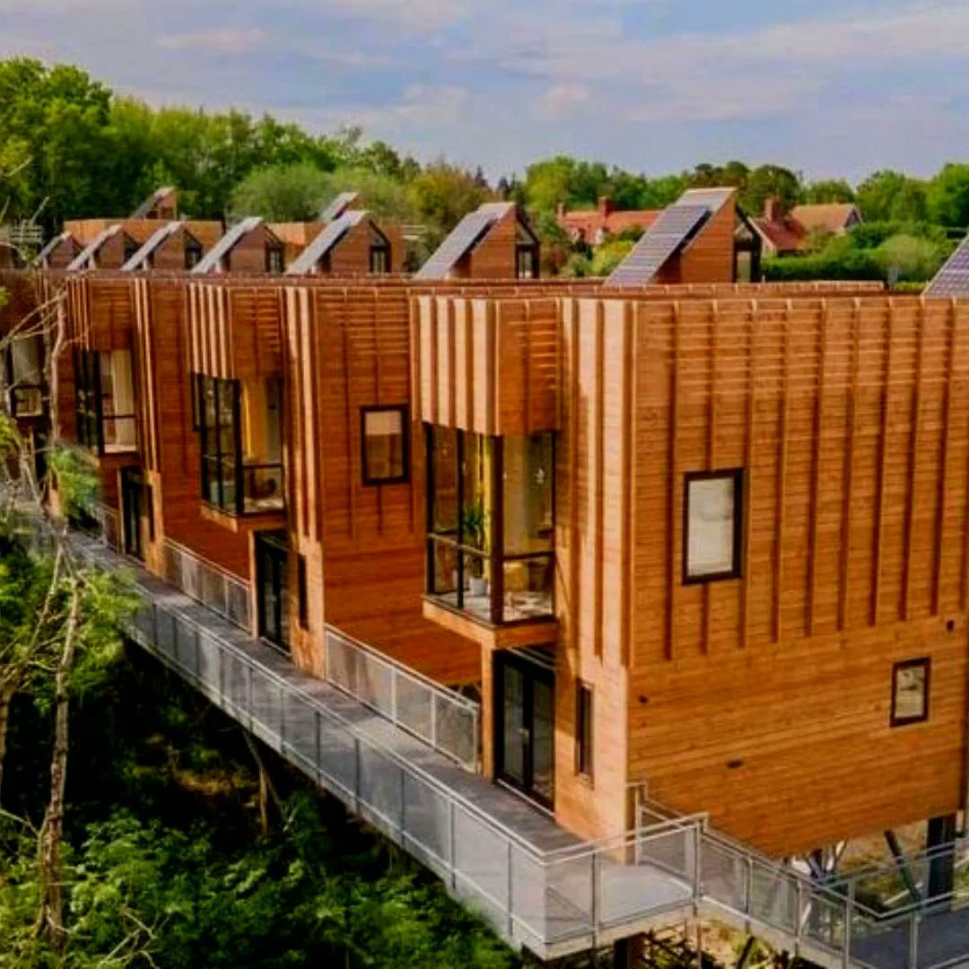 HiveHubs tweet media