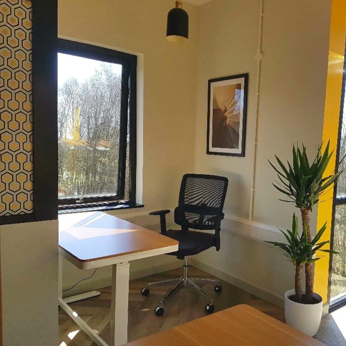 HiveHubs tweet media