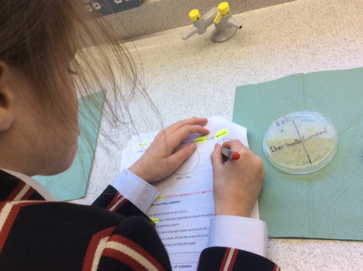 CastleCourtPrep's tweet photo. #PracticalScience makes #ScienceLessons come alive! #CastleCourtYear5 are researching #Bacteria and #Viruses #CastleCourtScience #CastleCourtCurious #PrepSchoolDorset https://t.co/raNUT1E9f9