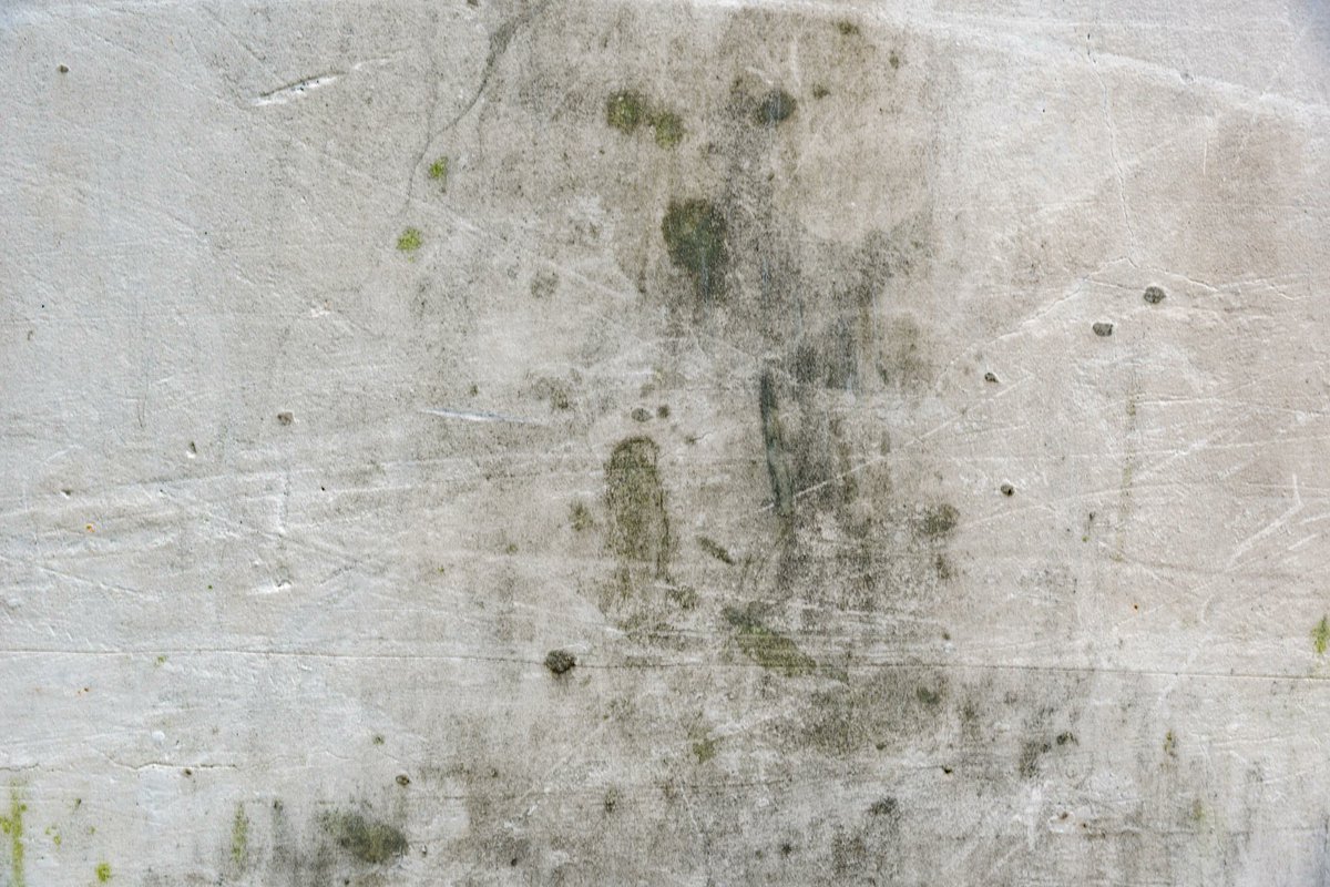 whgrants's tweet photo. Got an old Boiler? Give us a call?
Mouldy Walls? Give us a call?
We work with insulation, boiler upgrades and renewable energy making your Home warmer and cheaper to run. Find out if your eligible before Christmas!
03301281582
#warmhomes #winter https://t.co/0UCBSPw9BQ